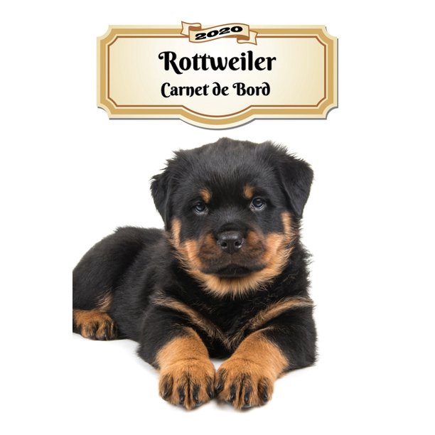 Rottweiler Carnet De Bord Chiot Ou Chien 139 Pages 12 Mois Format A5 Agenda Journalier Planificateur Semainier Simple Calendrier Walmart Com Walmart Com Rottweiler Carnet De Bord Chiot Ou Chien 139 Pages 12 Mois Format A5 Agenda Journalier Planificateur Semainier Simple Calendrier Walmart Com Walmart Com
