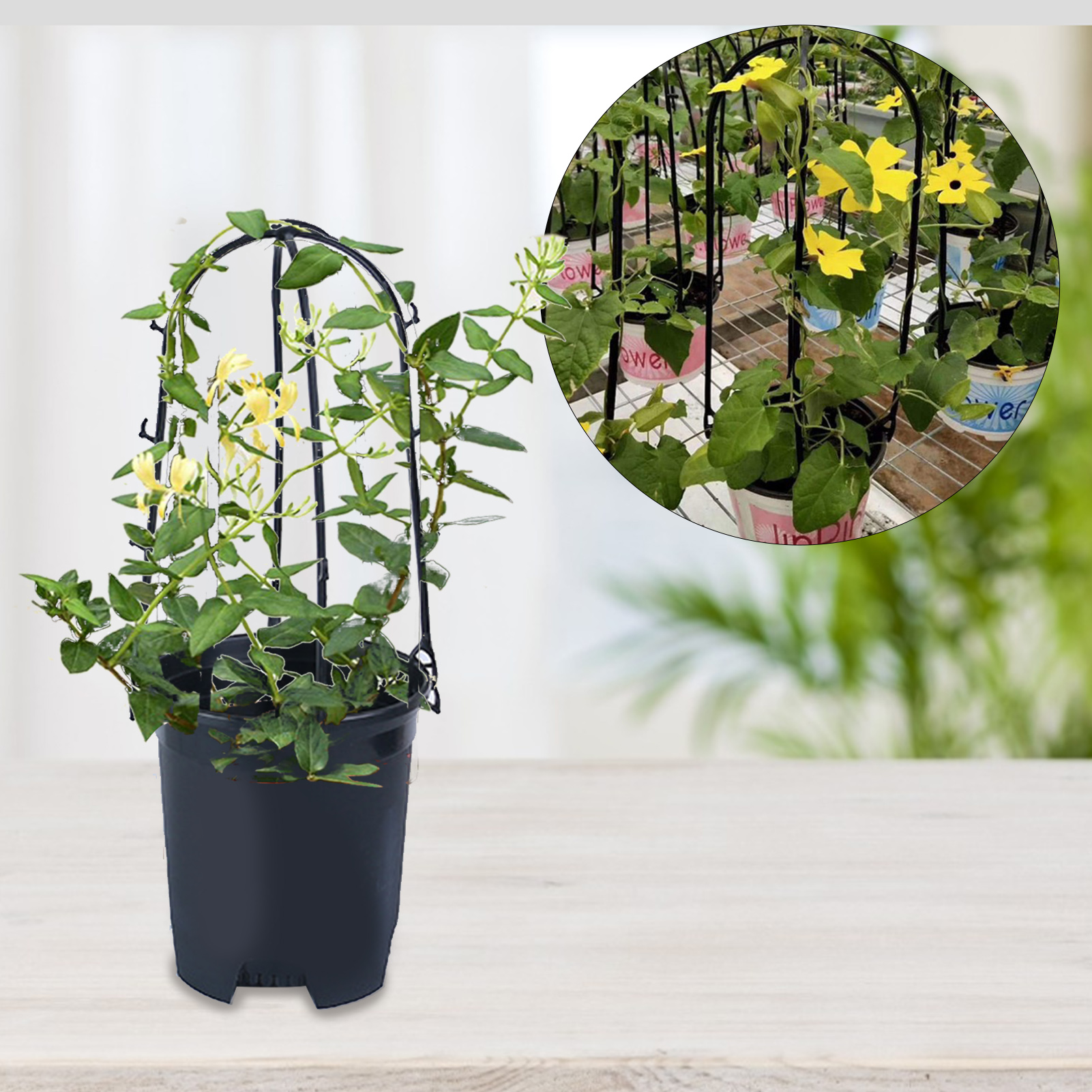 Viugreum 10PCS Garden Plant Pot Obelisks Plastic Climb Plant Support