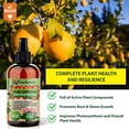 thumbnail image 5 of ⭐ 𝐁𝐄𝐒𝐓𝐒𝐄𝐋𝐋𝐄𝐑 Plant Superfood for CALATHEA Plants with B1 Vitamin, Glucose and Essential Minerals - Organic Plant Food Fertilizer for Indoor & Outdoor CALATHEA Plant Care - 8oz, 5 of 6
