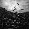 thumbnail image 2 of Hardibudi 26x26 Black Ornate Wood Framed with Double Matting Museum Art Print Titled - Missing Serenade, 2 of 4