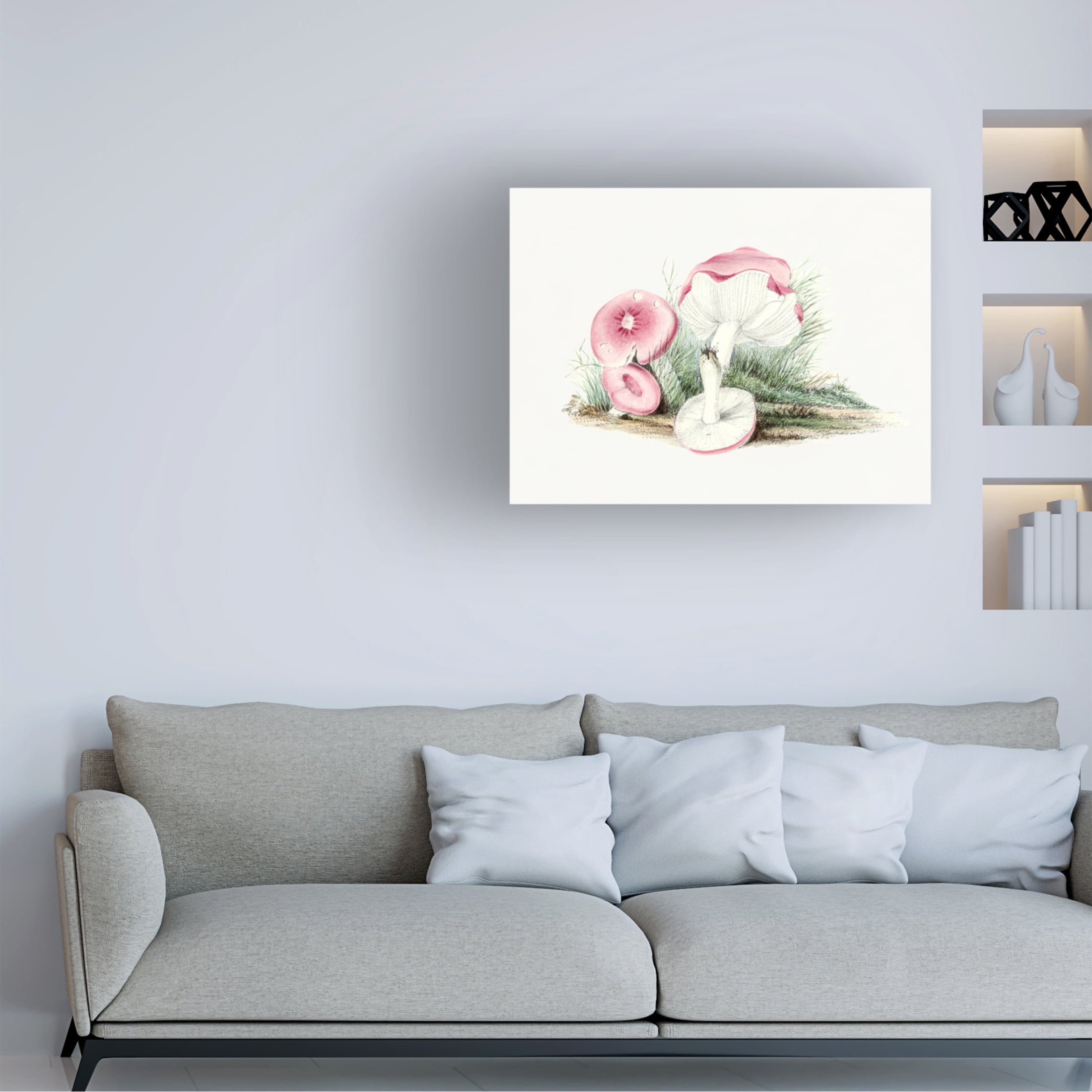 Trademark Fine Art Pictufy Vintage Russula Emetica Mushroom Canvas Wall Art