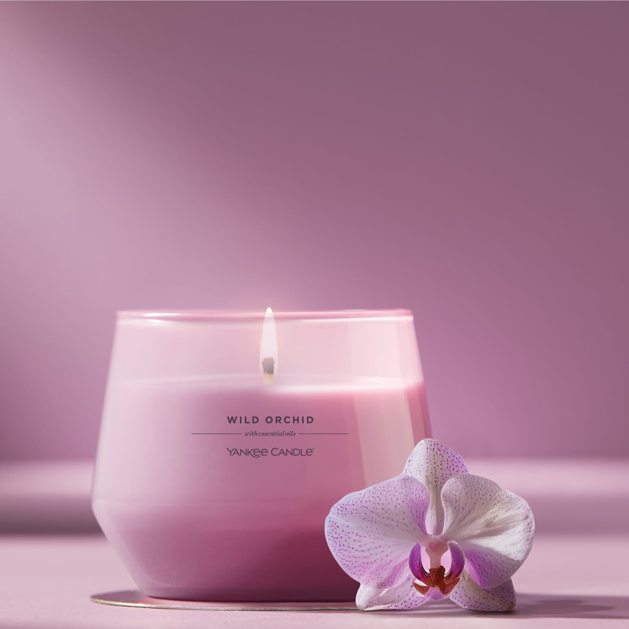 (4 pack) Yankee Candle Wild Orchid Studio Home Decor Scented Candles, 10 oz