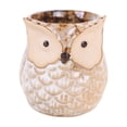 thumbnail image 2 of Cute Owl Ceramic Planter 2.6 Inch, Small Succulent Cactus Flower Pot for Indoor Outdoor Home Office Decor, Animal Style Tabletop Garden Decor Pot Gift, 2 of 6