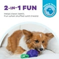 thumbnail image 2 of Outward Hound by Planet Dog Dental Grapes 2-in-1 Interactive Dog Chew Toy and Treat Stuffer, Medium, Purple, 2 of 7