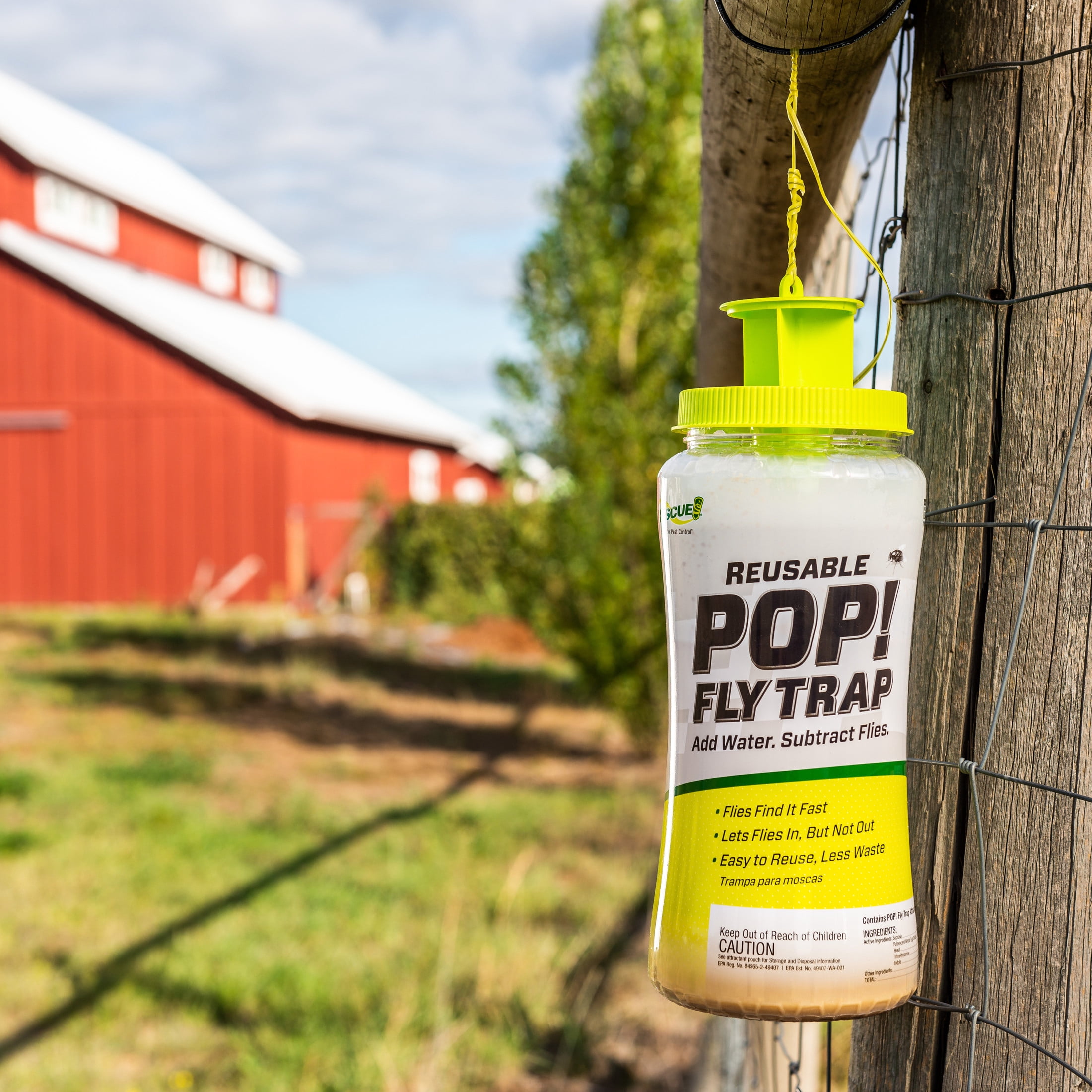 RESCUE! Pop! Reusable Outdoor Fly Trap, 1 Pack Resin