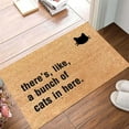 thumbnail image 3 of 16x24 IN Coir Door Mat Indoor Bedroom Decor Outdoor Door Mats for Outside Entry Runner Rugs for Hallway Front Door Entrance Mat Mat for Outside Entry Way Doormat, Non Slip Back Low Profile, 3 of 6