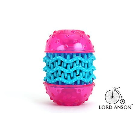 Lord Anson™ Doggie Dental Toy (Large) - Teeth Cleaning Dog Toy - Interactive Dog Toy - Fun Addition to Dog Tooth Brush for a Happy Dog