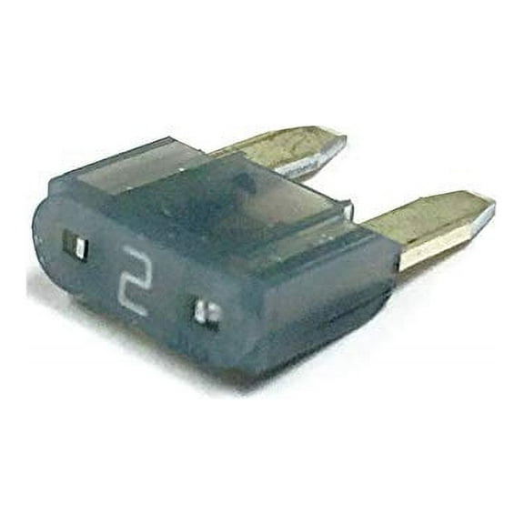 2 AMP MINI ATM BLADE-TYPE FUSE- 30PK