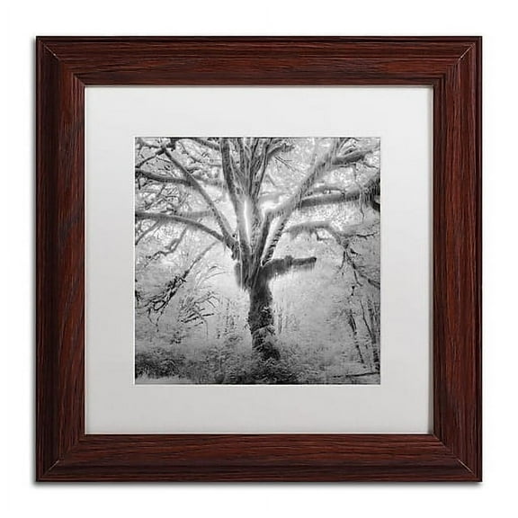 Moises Levy 'Lightning Tree II' Matted Framed Art
