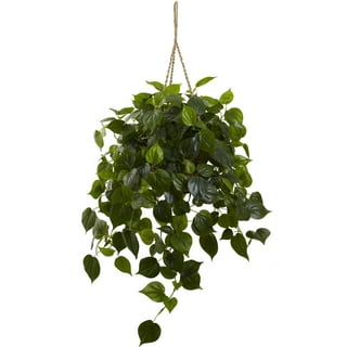 HUAESIN Fake Hanging Plants 2pcs Fake Plastic Hanging Greenery Leaf Plant UV Artificial Farmhouse Greenery Plants Cover for Home Shelve Wall Indoor