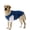 Blue, variant on Breathable Mesh Fake Two-Piece Dog T-Shirt Lightweight Short Sleeve Pet Apparel Color Block Crew Neck Dog Clothes for Medium Large Dogs Outdoor Walking Daily Home Wear