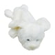 thumbnail image 1 of Estuche para lápices con cabeza de oso de peluche, duradero, para el hogar, la oficina y adolescentes. Blanco, 1 of 9