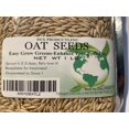 Rex Products,INC Oat Seeds DHF10 1 Lb (3000+ Seeds) Cat,Dog,Pets Oat