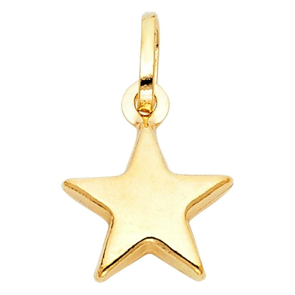 14k Yellow Gold Lucky Star Pendant Texas Star High Polished Charm Jewelry Female Unisex