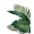 thumbnail image 2 of Allen, Kimberly 15x18 Black Ornate Wood Framed with Double Matting Museum Art Print Titled - Palms 3, 2 of 4