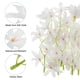 thumbnail image 4 of Uxcell 7" Flores de Orquídea Artificial para Velas Flotantes Simulación Rellenos de Jarrón Blancos 16 Pcs, 4 of 5