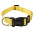 thumbnail image 1 of 1; Consejo: mide la circunferencia del cuello de tu mascota. Debe ser lo suficientemente cómodo como para poner 2 dedos entre el cuello y el collar del perro., 1 of 5