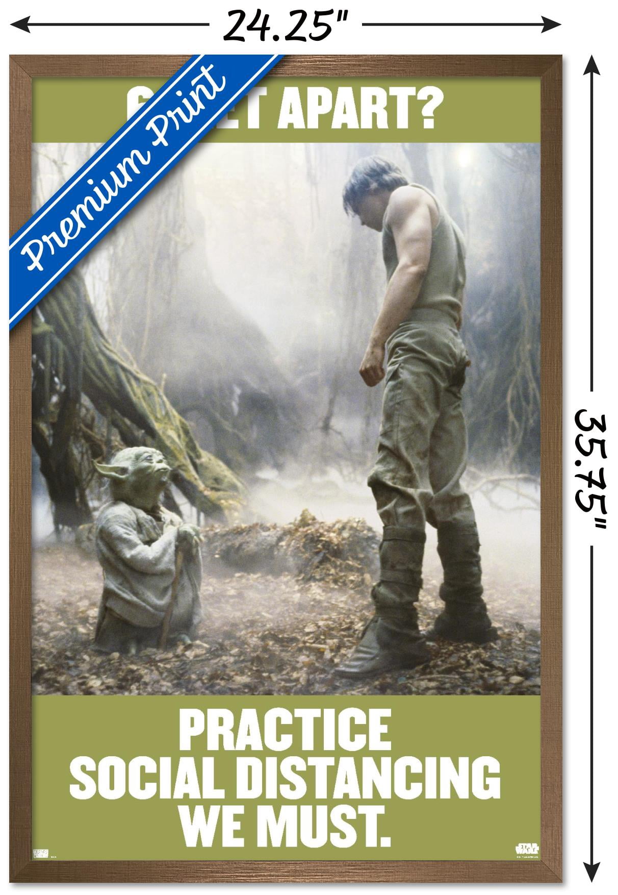 Star Wars: Saga - Luke and Yoda Social Distancing Wall Poster, 22.375" x 34", Framed