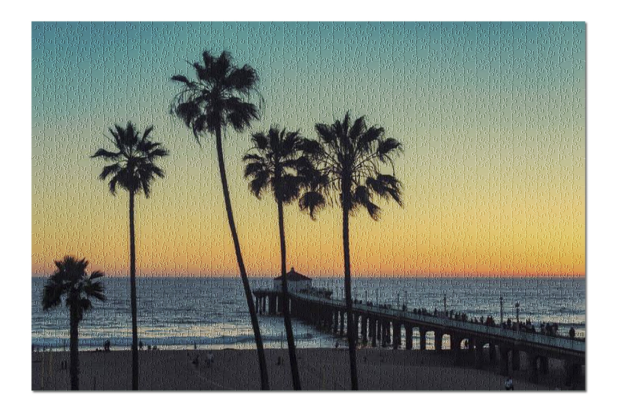 Download Manhattan Beach, Los Angeles, California - Palm Trees at ...