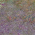 thumbnail image 3 of Tenoever, William 12x12 Black Modern Framed Museum Art Print Titled - Flora Square 1I, 3 of 5