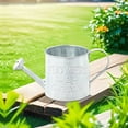 thumbnail image 4 of Retro Water Bucket Sprinkler Pot Iron Flower Pots Metal Vase Home Garden Decor, 4 of 8