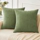 thumbnail image 1 of Chenchen Pack of 2 Couch Throw Pillow Covers 20x20 Inch Spring Soft Sage Green Chenille Pillow Covers for Sofa Living Room Solid Dyed Pillow Cases, 1 of 1