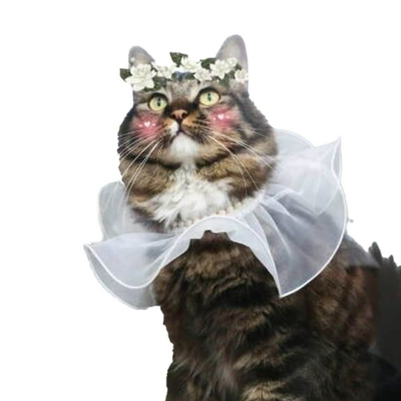 Mosey Beautiful Pet Necklace Lacing Design   for Party   Clothes Accessory