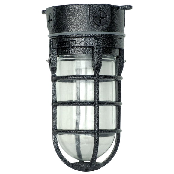 Woods L1706BLK Vandal Resistant 150W Incandescent Security Light, Ceiling Mount, Hammered Black