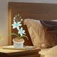 thumbnail image 1 of Bonsái de flores tejidas a mano con hilo, decoración de escritorio con flores simuladas, diseño plegable liviano, material de hilo vibrante, perfecto para la decoración de la oficina, acento, 1 of 7