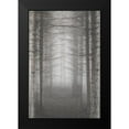 thumbnail image 2 of Brown, Denise 11x14 Black Modern Framed Museum Art Print Titled - Forest for the Trees, 2 of 5