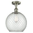 thumbnail image 1 of Innovations Lighting 516 Large Farmhouse Chicken Wire Large Farmhouse Chicken Wire 10", 1 of 1