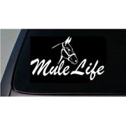 Mule life sticker farm donkey horse mule pull draft mule decal country fence fun 6" *C667*