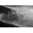thumbnail image 2 of Mao, Yun 14x11 Gold Ornate Wood Framed with Double Matting Museum Art Print Titled - Morning Fog, 2 of 4