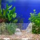 thumbnail image 3 of 1 juego de rejilla divisora para fondo de acuario, bandeja separadora para pecera, suministros para pecera, 3 of 6