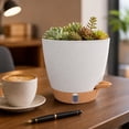 thumbnail image 7 of Self Watering Planter Hanging Basket, Plastic Flower Pot with Wick Reservoir and Water Window for Indoor Outdoor Plants, White, 7 of 7