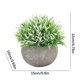thumbnail image 2 of Plantas artificiales Plástico Falso Mini Hierba verde Flor Topiary Arbustos Wmkox8yii  HKAHFKAH18, 2 of 2