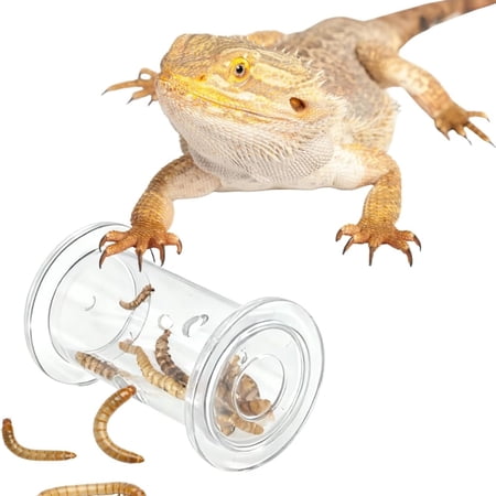 Bearded Dragon Feeder Toy - Lizard Enrichment Interactive Toy Reptile Terrarium Tank Decor Foraging Accessories for Gecko, Lizard, Bearded Dragon,Chameleon,Bird Small Animals