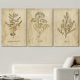 thumbnail image 2 of wall26 Canvas Print Wall Art Set Vintage Retro Plant Herb Seasonings Nature Floral Illustrations Modern Decorative Rustic Botanical Relax/Calm for Living Room, Bedroom, Office - 24"x36" x 3, 2 of 5