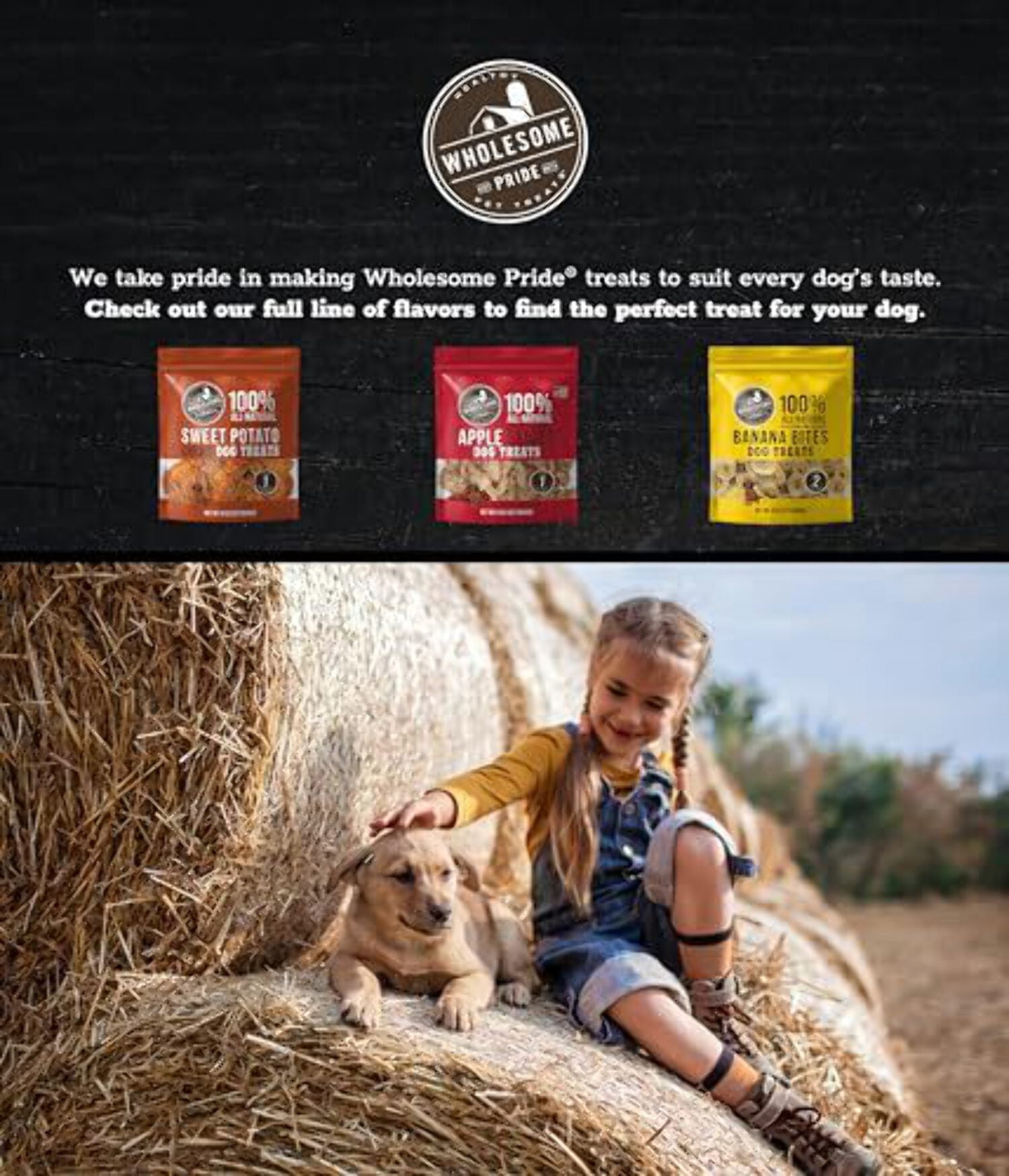 Wholesome Pride, 100% All-Natural Single Ingredient, Soft, USA-Sourced Dog Treats, Sweet Potato Chews 32oz