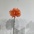 thumbnail image 2 of ORANGE GERBERA DAISY, 2 of 3