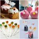 thumbnail image 5 of Nvzi 100Pcs Lollipop Sticks - Dessert Pop Sticks For Desserts And Treats For Cafes or Homes-2.99*0.11inch, 5 of 5