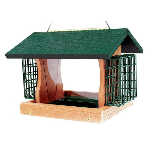Woodlink Going Green 5.5Pound Seed Hanging Bird Feeder with 2 Suet