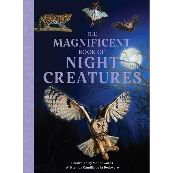 Magnificent Book of The Magnificent Book of Night Creatures, (Hardcover)