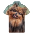 thumbnail image 4 of Camisa hawaiana vintage con retrato de perro para hombre, camisetas de verano de manga corta con estampado 3D de animales y mascotas, camisetas con botones, blusas con solapa, 4 of 5