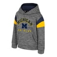 thumbnail image 2 of Toddler Colosseum Gray Michigan Wolverines Wizard City Hoodie, 2 of 3