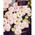 thumbnail image 1 of Image Conscious PDXS1279DSMALL Affiche de Marché de Fleurs Imprimée par Irene Suchocki&44; 8 x 10 - Petit, 1 of 1