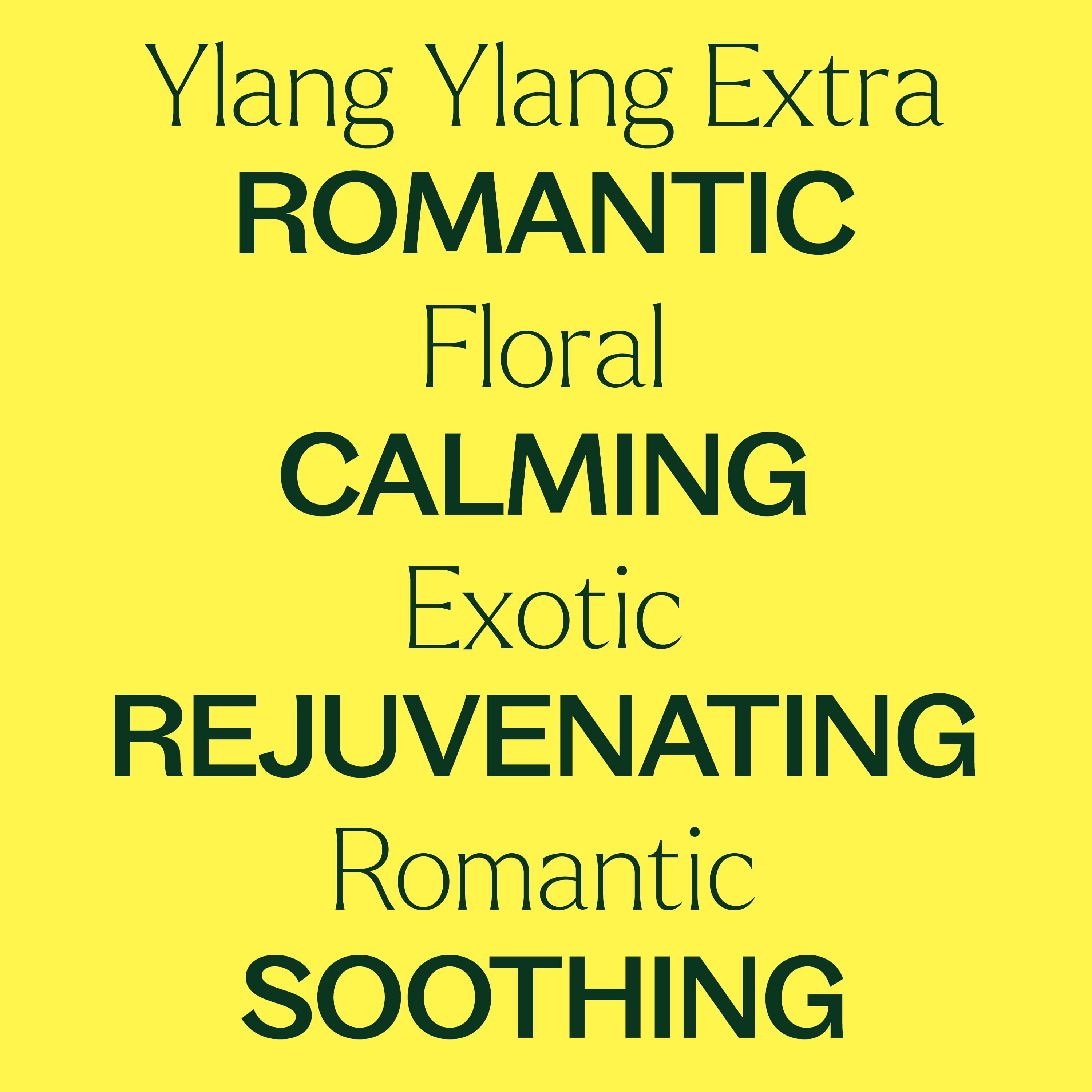 Plant Therapy Ylang Ylang Extra Essential Oil 30 mL (1 oz) 100% Pure, Undiluted, Natural Aromatherapy, Therapeutic Grade