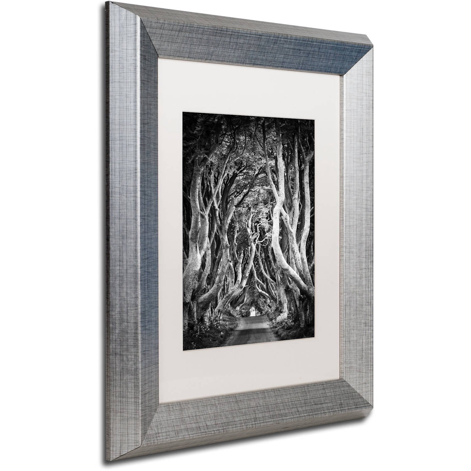 Trademark Fine Art "Zig Zag Nation" Canvas Art by Philippe Sainte-Laudy, White Matte, Silver Frame