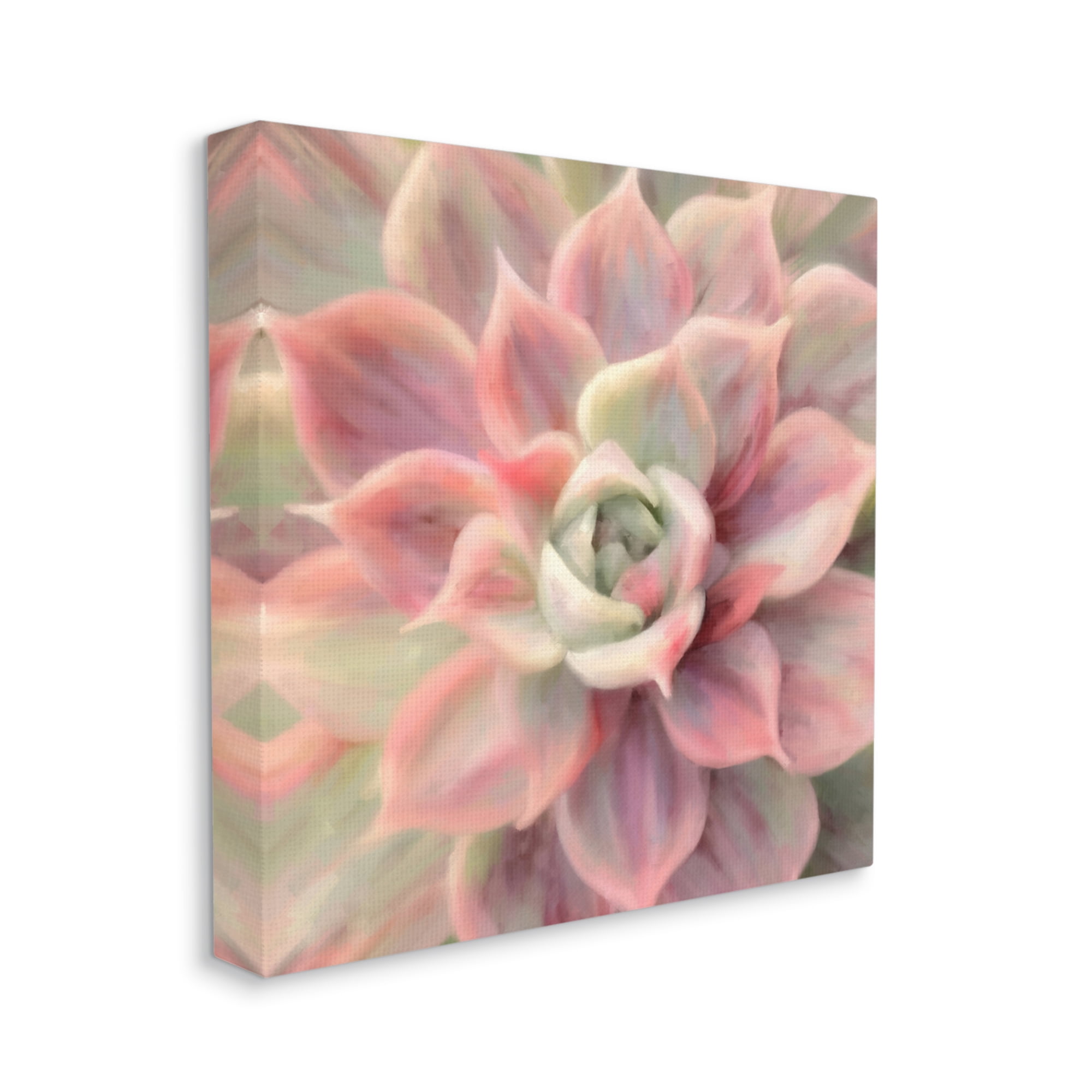 Stupell Industries Pink Symmetrical Succulent Botanical & Floral Painting Gallery Wrapped Canvas Print Wall Art, 36 x 36