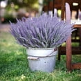 thumbnail image 2 of Zukuco Artificial Lavender Flowers 8 Pieces for Wedding Decor and Table Centerpieces, Lifelike Fake Plant Bouquet Home Kitchen Garden Indoor Outdoor Decor(Purple), 2 of 7